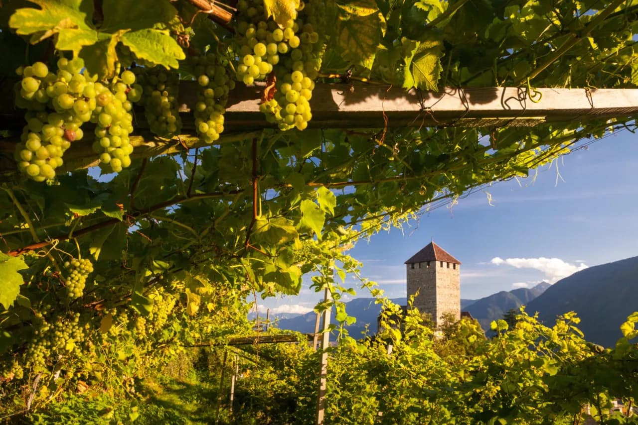 Najlepsze atrakcje w Bolzano, które musisz zobaczyć podczas wizyty