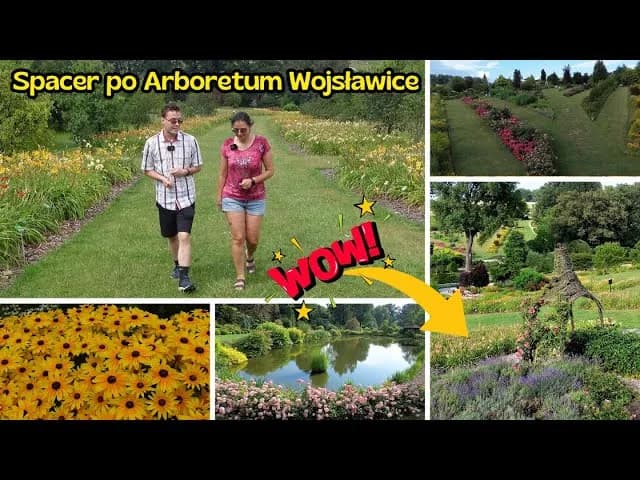 Najciekawsze atrakcje w Wojsławicach, które musisz zobaczyć